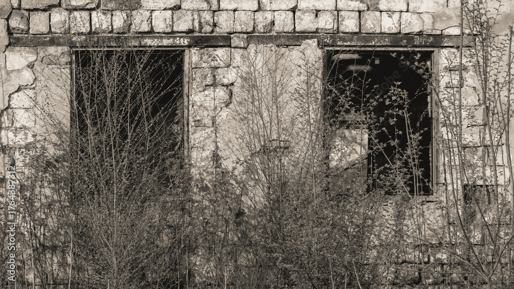 Fototapeta premium ruined street and destroyed houses the city Kiev war in Ukraine