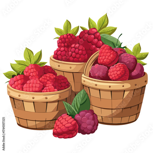 Three baskets filled with fresh raspberries