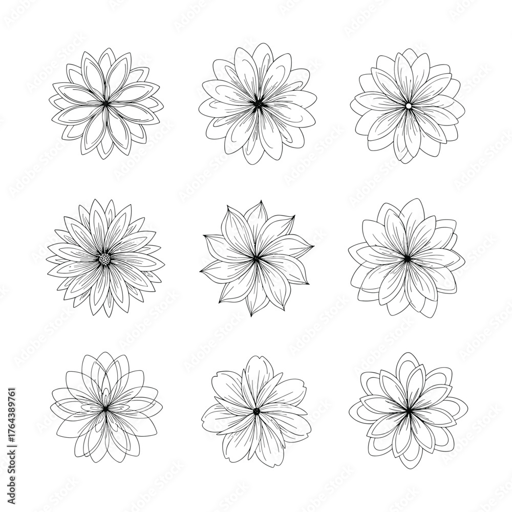 Obraz premium Elegant Floral Outlines - A Collection of Delicate Flower Illustrations.