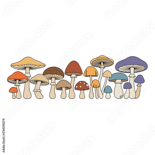Diverse Mushroom Collection - A Colorful Array of Fungi.