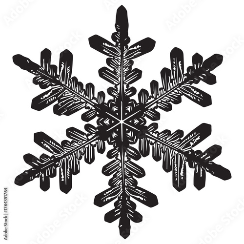 Intricate Symmetrical Snowflake Illustration in Black and White Graphic Style