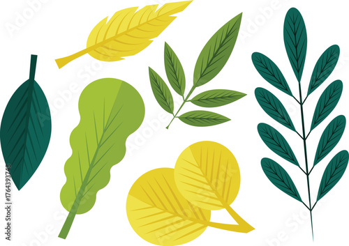Plant leaves various positions