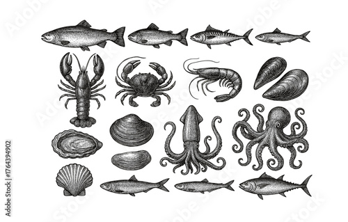 Detailed vintage engraving of seafood with fish, shellfish, and crustaceans