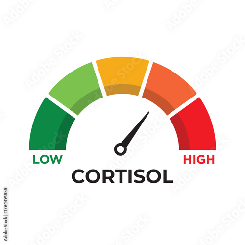 Cortisol Level Meter. Speedometer Gauge Showing Body Stress Response from Low to High. Flat Vector Illustration on White Background.
