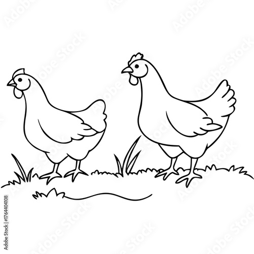 Line Art of Hens Walking in a Grass Field for Educational Materials, Illustrations, Kids Coloring Books, Farm-themed Designs, and Home Decor Ideas