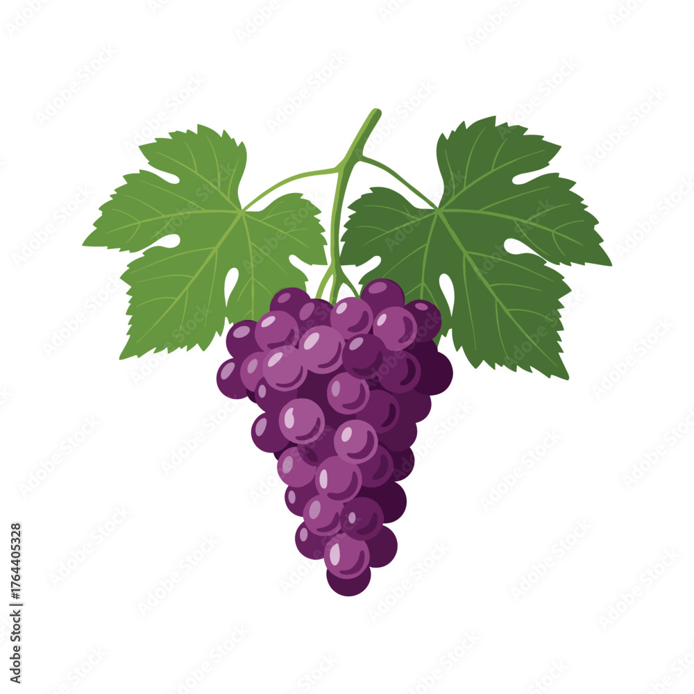Obraz premium A Bunch of Ripe Purple Grapes with Green Leaves.