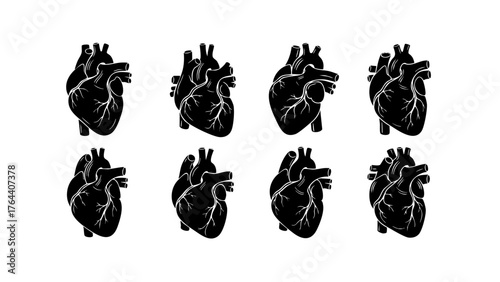 Realistic Human Hearts Arranged on a White Background