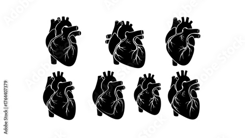 Vector collection of isolated human heart organ illustrations. Black silhouette anatomical graphics for medical or biological design 453.eps