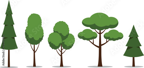 Tree illustration set, forest clipart, nature graphic, deciduous and conifer trees, landscape design, educational vector, cartoon foliage pack