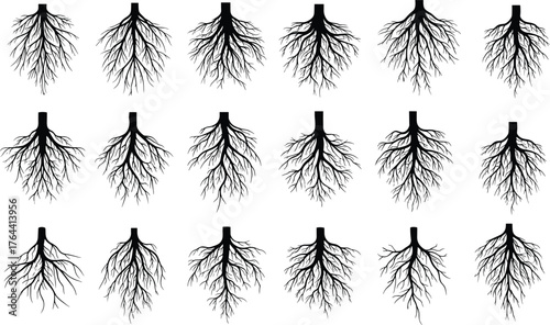 Root structure grid, black silhouette illustration, branching pattern design, abstract tree roots, fractal network art, botanical vector, scientific graphic