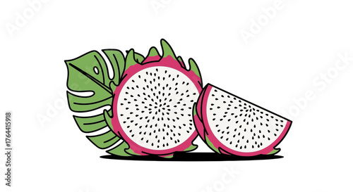 Hand Drawn Dragon Fruit and Monstera Leaf for a Tropical Vibe Illustration