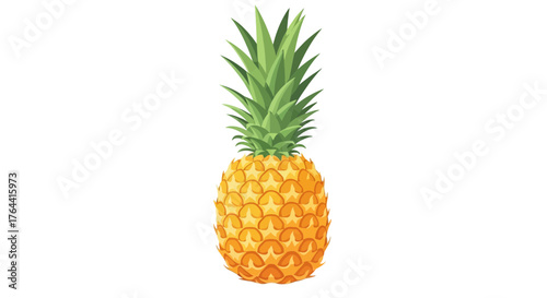 Isolated whole pineapple illustration featuring its textured rind and spiky crown