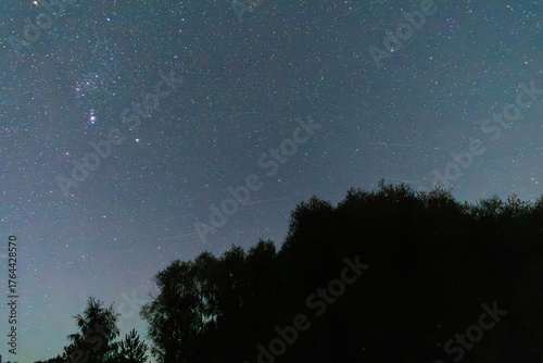 Night sky full of stars above dark forest silhouette in autumn