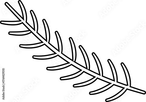 Pine needles outline vector isolated.
Fir Branch coloring page and template.
Coniferous Branch.
Transparent background.