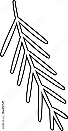 Pine needles outline vector isolated.
Fir Branch coloring page and template.
Coniferous Branch.
Transparent background.