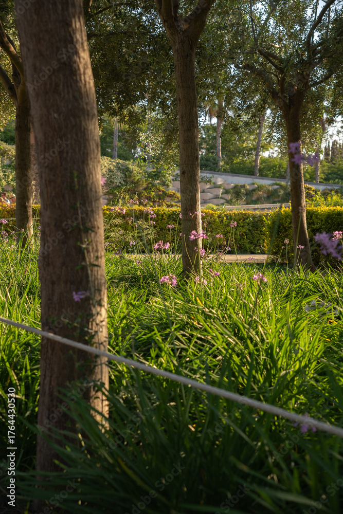 custom made wallpaper toronto digitalVertical view of green park with tree shadows