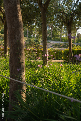 Wallpaper Mural Vertical view of green park with tree shadows Torontodigital.ca