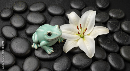Frog with lily and black stones in a tranquil decorative setting  