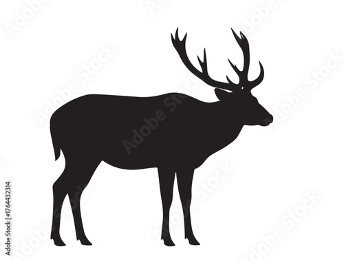 Barasingha deer in silhouette.
