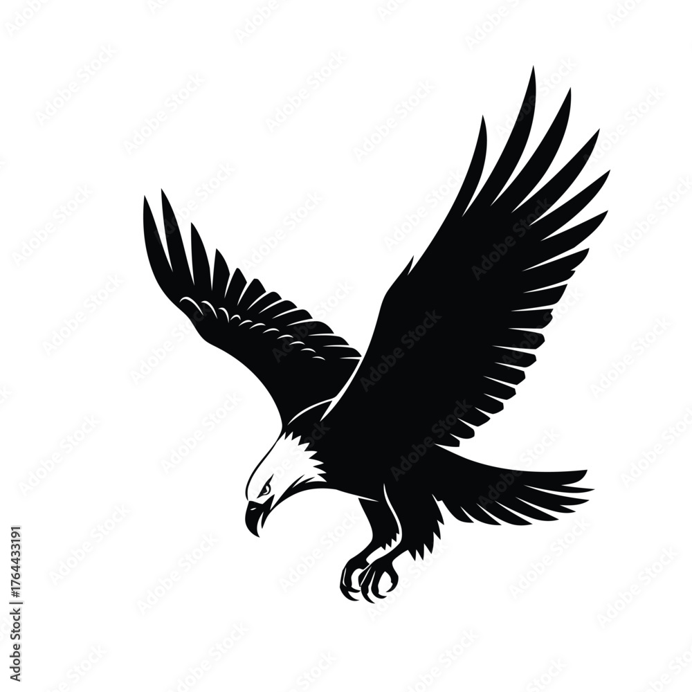 Obraz premium Adobe Illustrator Artwork