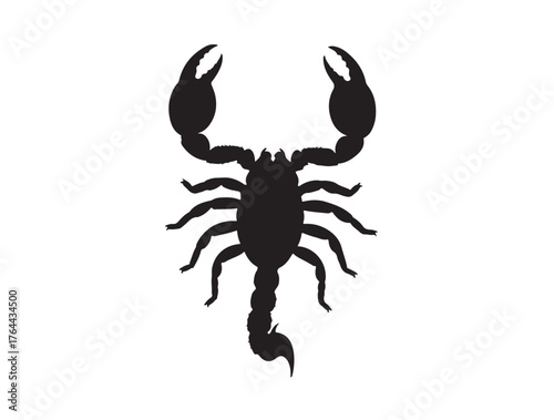 Claw Scorpion icon top view in silhouette white background.