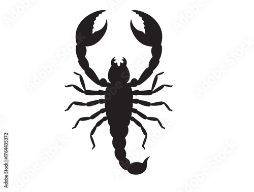 Deathstalker Scorpion icon top view in silhouette.