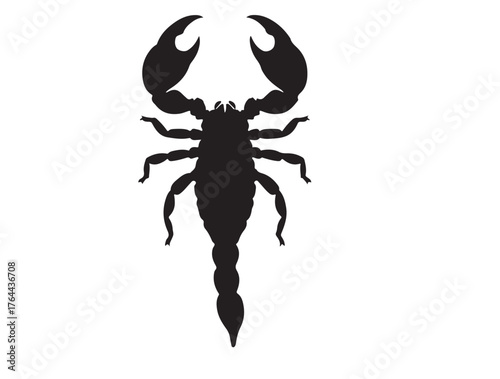  Indian Red Scorpion icon top view in silhouette white background. with out reflect.