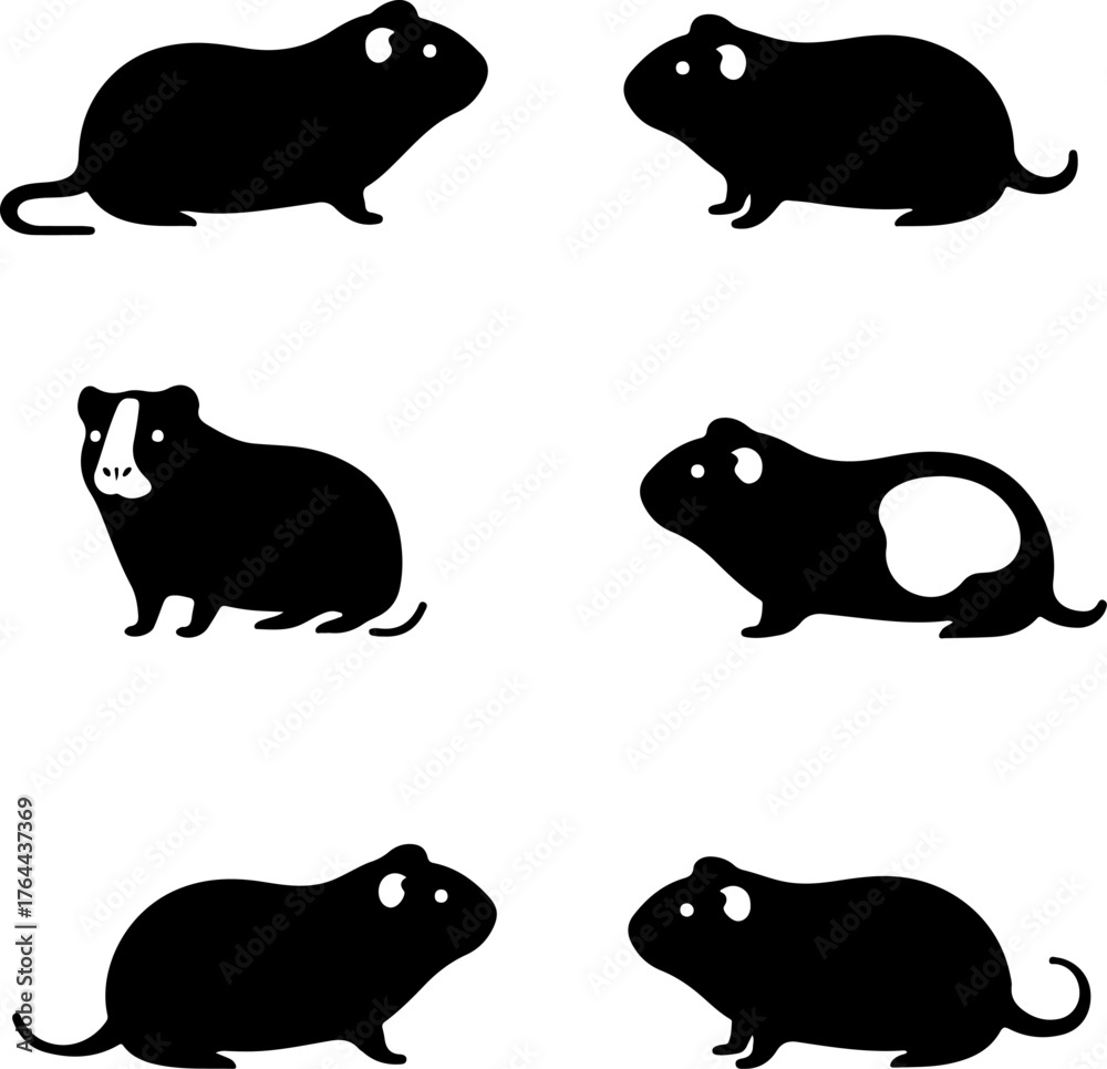 Obraz premium Cute Guinea Pig Pet Animal Set Silhouettes