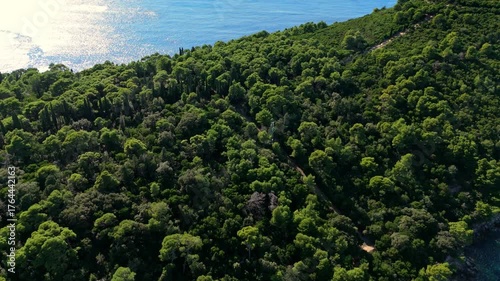 Aerial Birds Eye landscape drone flies over Lokrum Island’s Mediterranean coastline, capturing rocky shores, dense green vegetation, and the clear blue Adriatic Sea stretching along the island