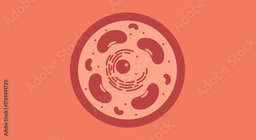 A stylized illustration of a eukaryotic cell, showcasing its internal organelles like the nucleus and mitochondria against a solid background.