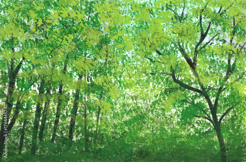 Acrylic painting nature background of green forest or woods with trees on paper. Illustration for autumn or spring, season and tropical concept. copy space for the text. Hand painted texture style.