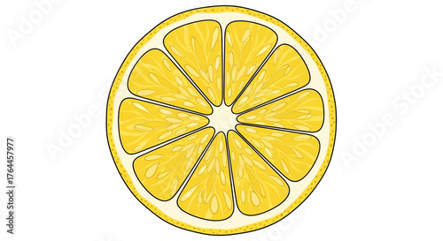 A detailed vector illustration of a fresh yellow lemon slice isolated on a white background.