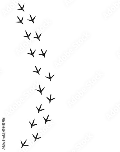 Vector cartoon illustration of a bird footprint path in minimalist sketch style isolated on white background