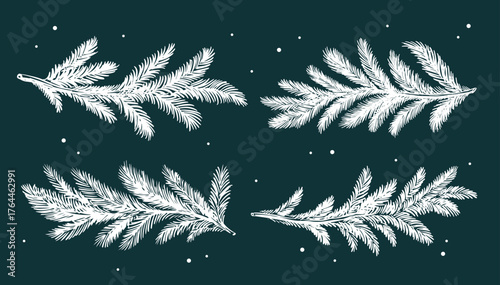 Green fir branch on a green background hand drawn set.	
