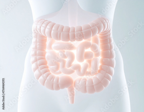Exploring the Human Gut: From Digestion to Disease