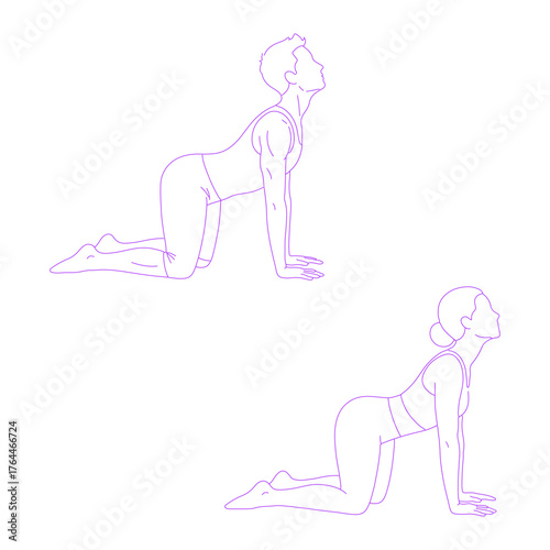 Line art illustration of person doing cat-cow yoga pose
