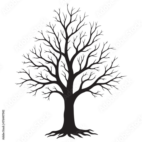 Stylized Black Silhouette of a Bare Deciduous Tree with Intricate Branches
