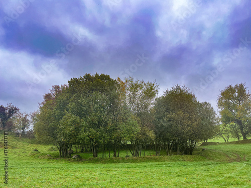 Fairy fort surrounded by trees at Brittas Estate in County Meath