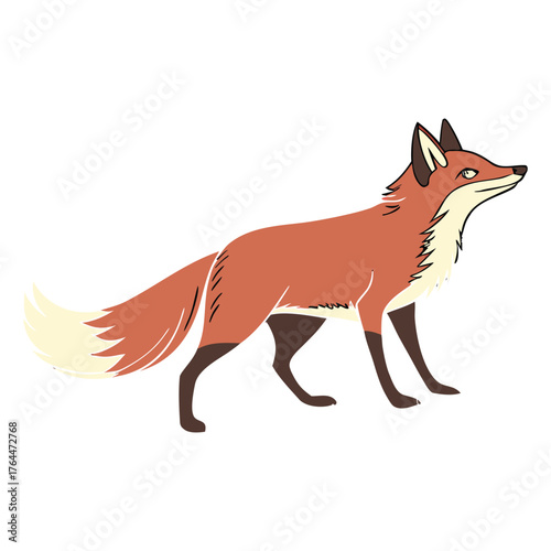 red fox, detailed illustration, digital art, realistic, highly detailed, vivid colors, sharp focus, 8k resolution
