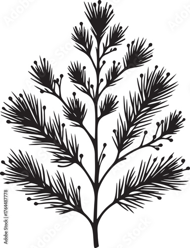 Pine or Fir Tree Branch Silhouette for Christmas and Winter Design