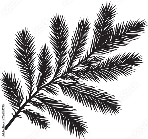 Pine or Fir Tree Branch Silhouette for Christmas and Winter Design