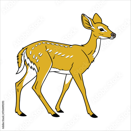 deer vector illustration