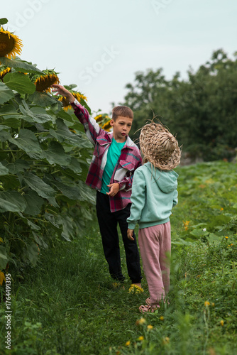 two children are talking near sunflower flowers, and the boy is explaining something to his sister