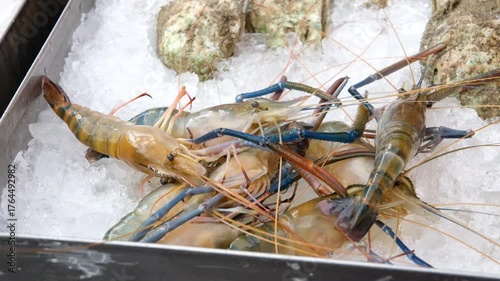 Shrimp ice oysters Fresh blue prawns Fresh prawn shrimp and mussels with fish and vegetable garnishes displayed on ice at an Egyptian seafood market, cold, and ready for customers