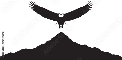 Majestic Andean Condor Soaring Above Mountain Peaks Illustration