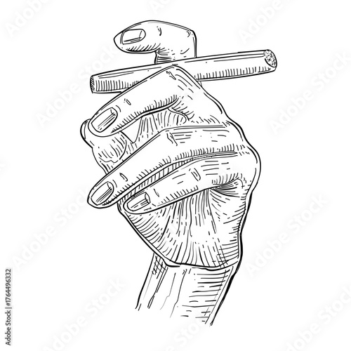 Hand holding cigar vector line art hand drawn illustration 