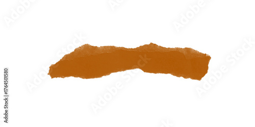 Abstract Sienna Fragment Floating Shape Mysterious Brown Form on Black Backdrop Contemporary Art Texture Isolated Object