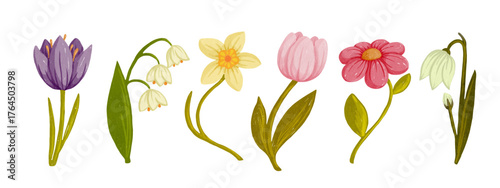 Set of colorful spring flowers. Vector graphics.