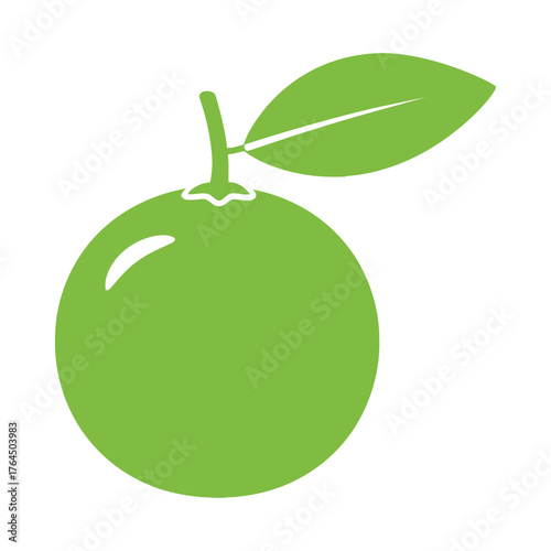 Simple green citrus fruit with leaf and stem isolated on white