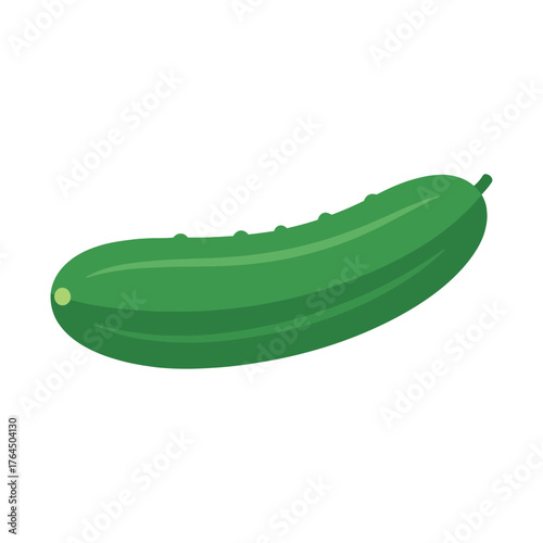 Fresh green cucumber vegetable isolated on white background healthy food